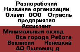 Разнорабочий › Название организации ­ Олимп, ООО › Отрасль предприятия ­ Ассистент › Минимальный оклад ­ 25 000 - Все города Работа » Вакансии   . Ненецкий АО,Пылемец д.